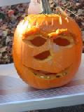 gutsy eyebrowed pumpkin